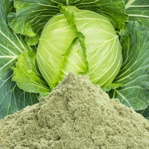 Dehydrated Cabbage Powder