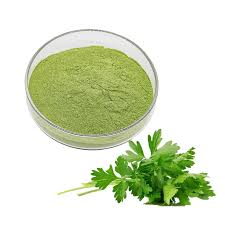 Dehydrated Parsley Leaf  Powder
